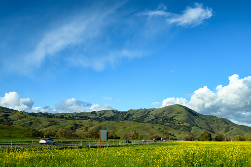 Field of springtime field mustard, blooming along a California highway winding it's way through the California Coast range, with cloudy sky in background.\n\nTaken in California Coastal Range, USA.