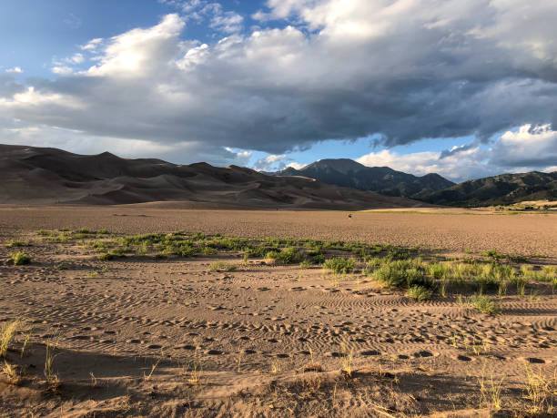istock Footprints in sand at Great Sand Dunes National Park 1338547231