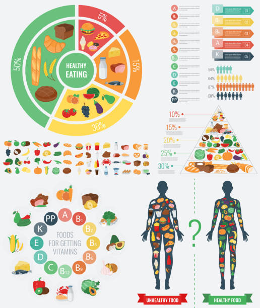 건강 식품 인포그래픽. 음식 피라미드. 건강한 식습관. 벡터 - nutritional supplement illustrations stock illustrations