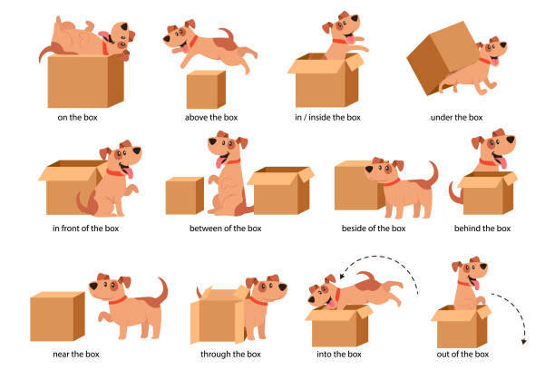 angielskie przyimki miejsca pomocy wizualnej dla dzieci. urocza postać psa w różnych pozach bawiąc się pudełkiem kartonowym - dog education school cartoon stock illustrations