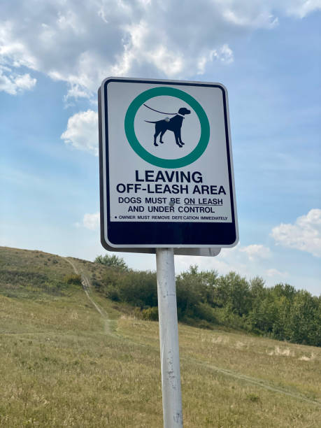 istock Leaving Off-Leash Area sign. Dogs must be under control on leash and under control. Owner must remove defecation immediately. 1338554507