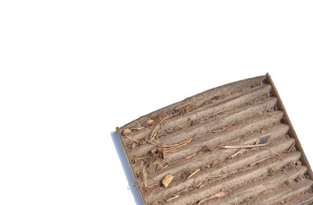 istock Car air filter is very dirty 1338575750