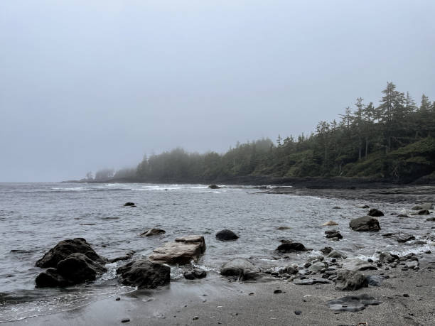 istock Coastline of Botany Bay, Port Renfrew 1338584355