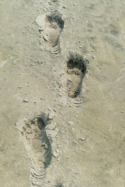 istock Multiple Footprints on a sandy beach. Deep footprints in wet sand. Sand background. 1338584422