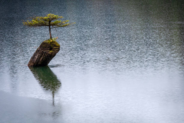 istock Raindrops On Fairy Lake 1338588505