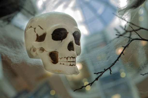 istock A human skull side view on the branches of a tree, from which a spider's web hangs. 1338589417