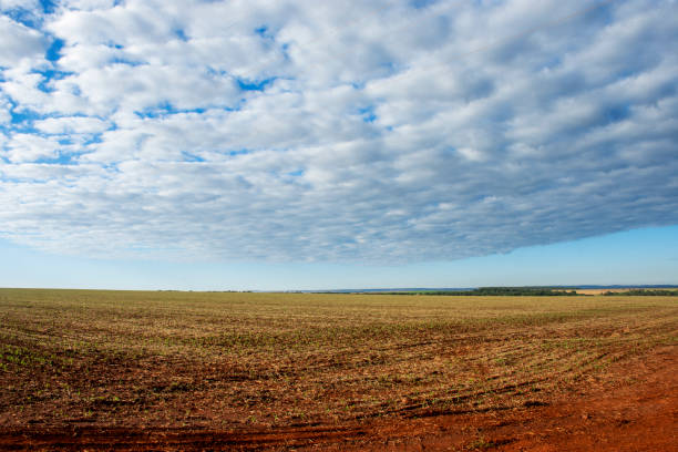 istock farm with land ready to plant 1338590356