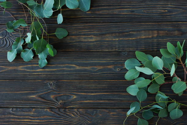 istock green eucalyptus leaves frame on a brown wooden background.  top view. copy space. 1338594434