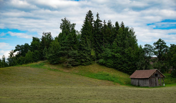 istock old hayloft and field on a hill in Carinthia 1338595330