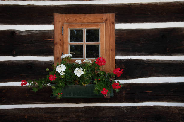 Flower box with geraniums in front of a wooden hut in the Alps