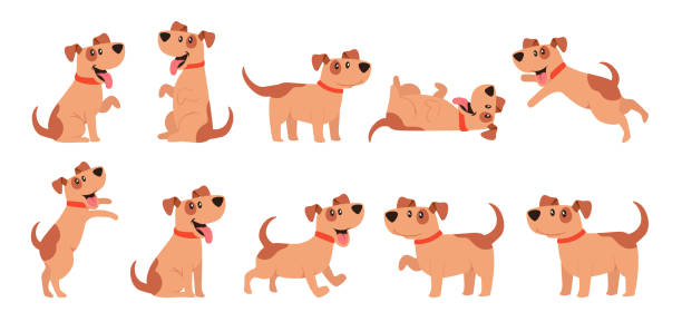 ilustrações de stock, clip art, desenhos animados e ícones de set of cute dogs, pets, domestic animals walking, sitting, jumping, giving paw. funny cartoon characters, joyful puppy - standing puppy cute animal