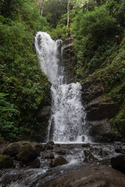 istock vertical shot of waterfall surrounded by nature and tropical forest 1338603491