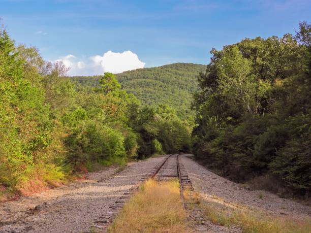 chemin de fer vers les montagnes - southern rocky mountains photos et images de collection