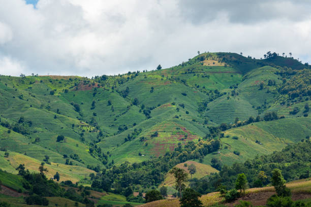 istock View of greenery mountain slope. 1338604714