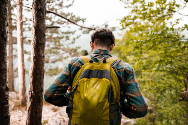 istock Back view of a male hiker walking in nature. 1338604977