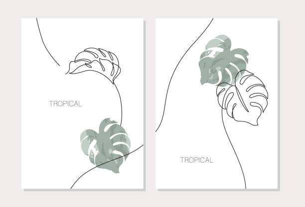 Abstract minimal monstera leaves posters set in one line drawing, watercolor style. Abstract minimal monstera leaves posters set in one line drawing, watercolor style. Modern vector illustration with continuous line art design. Simple botanical concept for covers, templates, prints monstera stock illustrations