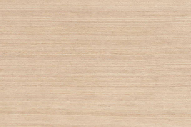 istock Plywood texture background, wooden surface in natural pattern for design art work. 1338610982