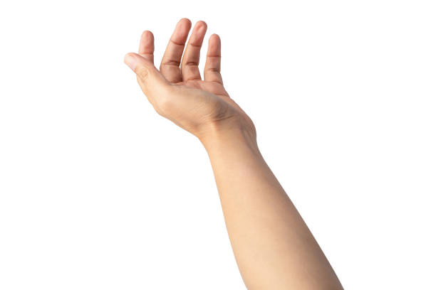 istock Asian lady woman beautiful empty hand isolated on white background with clipping path. 1338611982