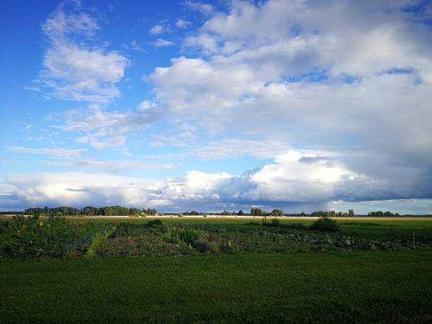 istock Rural landscape in Latvia 1338617597