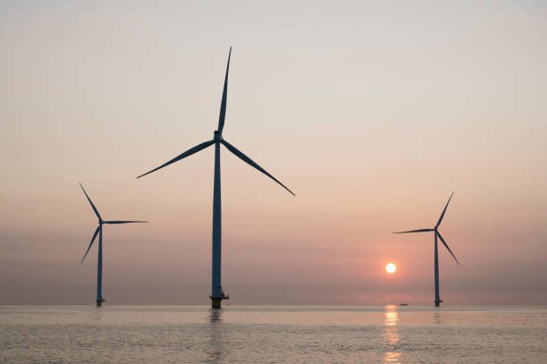 istock Wind turbines in an offshore wind park producing electricity during sunset. 1338617863