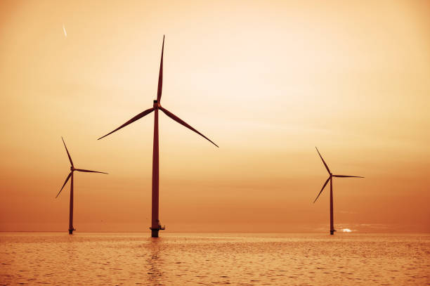 istock Wind turbines in an offshore wind park producing electricity during sunset. 1338617870