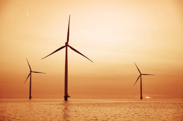 turbiny wiatrowe w morskim parku wiatrowym wytwarzające energię elektryczną o zachodzie słońca. - noordoostpolder zdjęcia i obrazy z banku zdjęć
