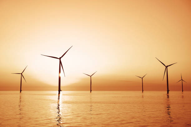 istock Wind turbines in an offshore wind park producing electricity during sunset. 1338617901