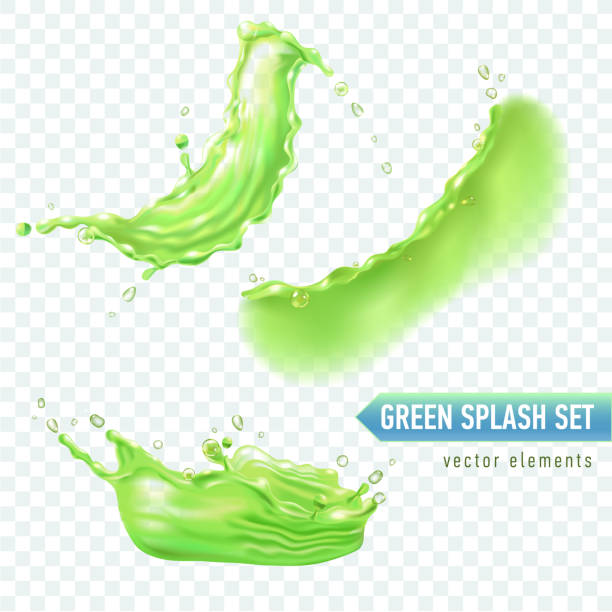 Set of realistic green splashes for design of grape or green tea package and ads. Transparent background. Vector vector art illustration