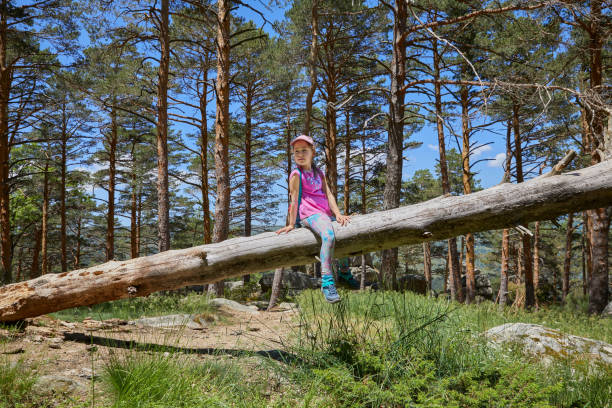 seven years old girl with hat sitting on fallen pine tree trunk in forest of Guadarrama Natural Park (Madrid, Spain)