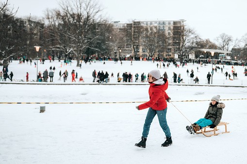 teenage girl pulling little sister on sleigh in snowy public park in central Berlin