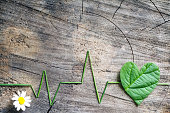 Heartbeat line from grass and leaf on old wooden background, living in harmony with nature concept