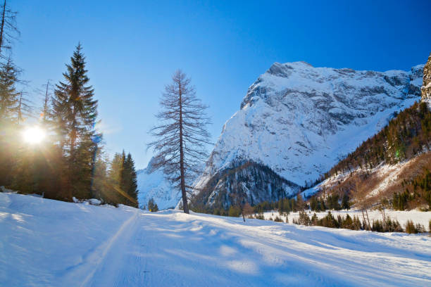 istock Tyrolean Alpine panorama in Pertisau, Tyrol, Austria 1338624357