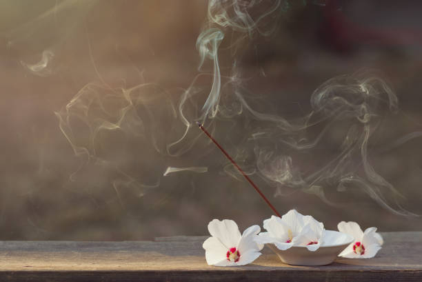 hermosas flores de jazmín blanco y palitos de incienso con humo para prácticas espirituales al aire libre. formato horizontal. espacio de copia - scented smoke single flower flower fotografías e imágenes de stock