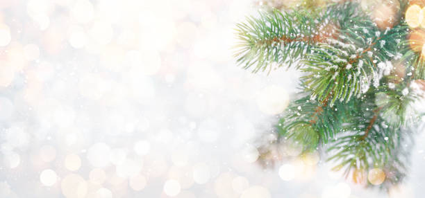 istock Christmas greeting card with fir tree branches covered by snow 1338628647