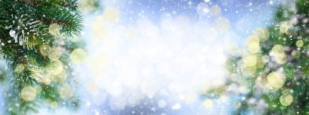 istock Christmas greeting card with fir tree branches covered by snow 1338628717