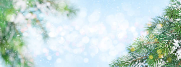 istock Christmas greeting card with fir tree branches covered by snow 1338628738