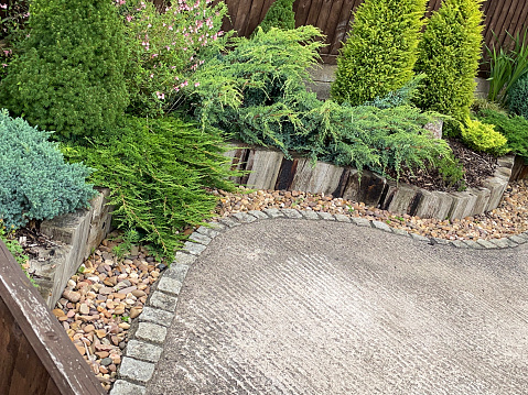 Stock photo showing raised, dwarf conifer plant border lining a curved, concrete driveway. Concrete driveways gradually erode over time, due to the parking of cars and frost damage in the winter.