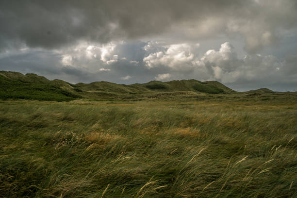 istock North Sea Dune Landscape 1338636266