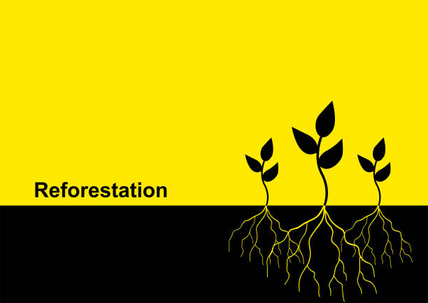 ilustraciones, imágenes clip art, dibujos animados e iconos de stock de árboles jóvenes con raíz - root growth dirt seed