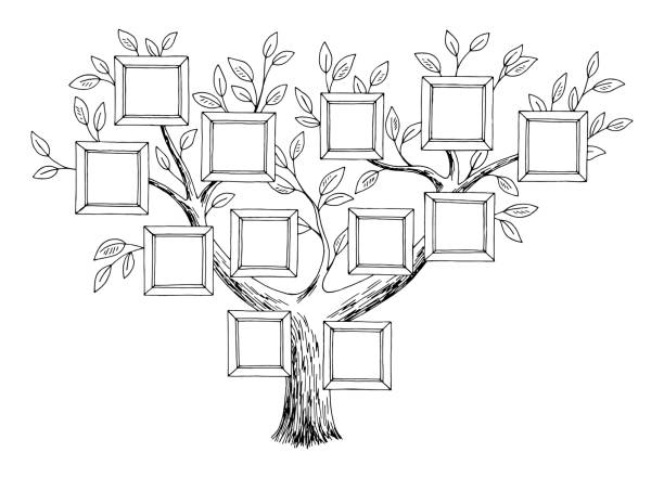 ilustraciones, imágenes clip art, dibujos animados e iconos de stock de árbol genealógico gráfico negro blanco aislado boceto ilustración vector - árboles genealógicos