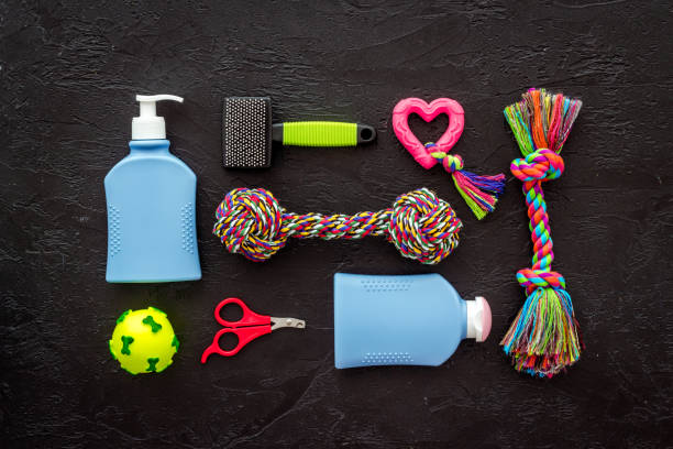 istock Grooming tools and pet accessories with toys, top view 1338642211