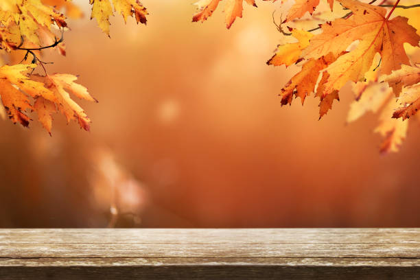 istock A wood table product display with copy space 1338643927