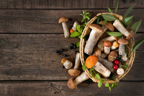istock Mushrooms boletus on rustic wooden background for design 1338647280