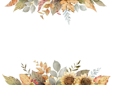 Watercolor vector fall banner with sunflower, leaves and branches isolated on a white background. Autumn illustration for creating postcards, invitations, cards and more.