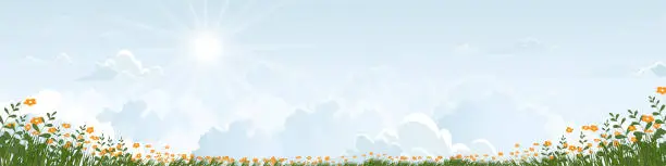 Vector illustration of Blue sky with fluffy clouds and daizy fields in sunny day Summer.Holizon Spring rural landscap with orange flowers fields, green grass and white Cloudy. Vector cartoon Eco friendly in village