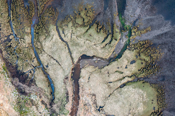 istock View of river delta from above 1338649835