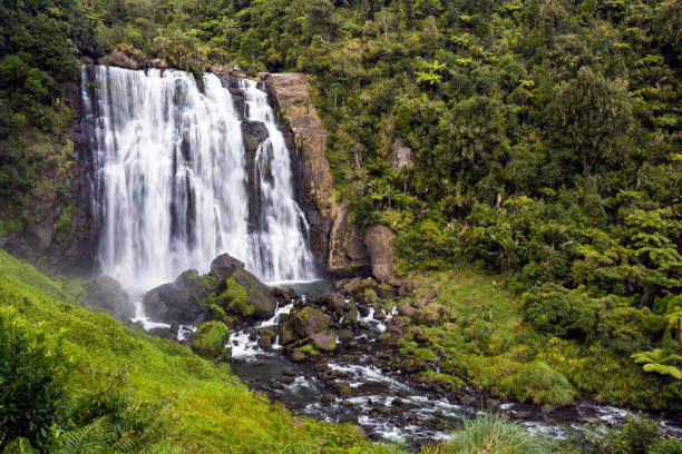 Marokopa Falls in Marokopa, New Zealand Marokopa Falls in Marokopa, New Zealand waikato river stock pictures, royalty-free photos & images