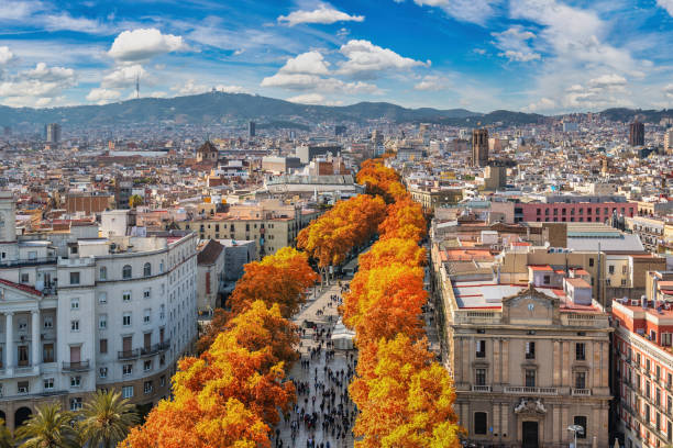 барселона испания, высокий угол обзора городского горизонта на улице ла рамбла с осенним сезоном листвы - barcelona стоковые фото и изображения