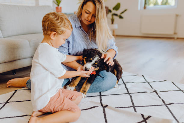 istock Little boys playing with mom and dog 1338655659