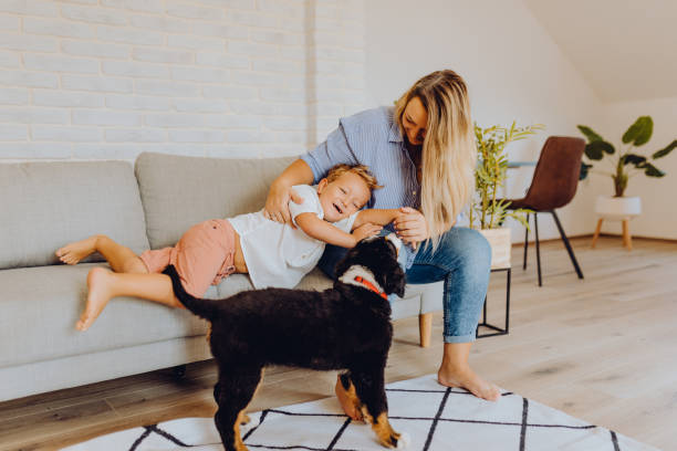 istock Little boys playing with mom and dog 1338655724